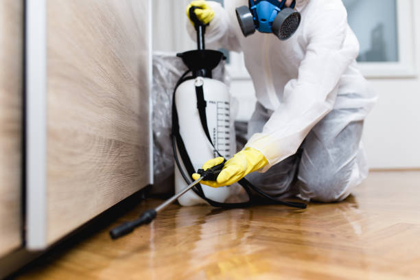 Best Wasp Removal Services  in University Park, MD