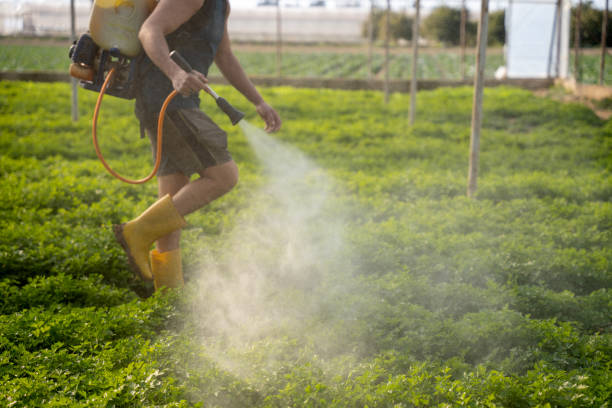 Best Pest Prevention Services  in University Park, MD