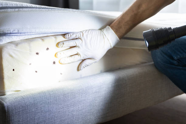 Best Residential Pest Control  in University Park, MD